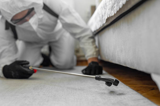 Professional Mosquito Control technician working in East Sandwich, MA