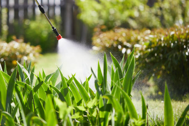 24/7 Emergency Mosquito Control experts in East Sandwich, MA