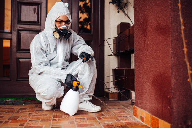 Reliable Mosquito Control contractor in East Sandwich, MA by Nex Pest Control