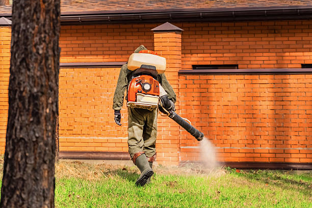 Trusted Emergency Pest Control service in East Sandwich, MA - Nex Pest Control